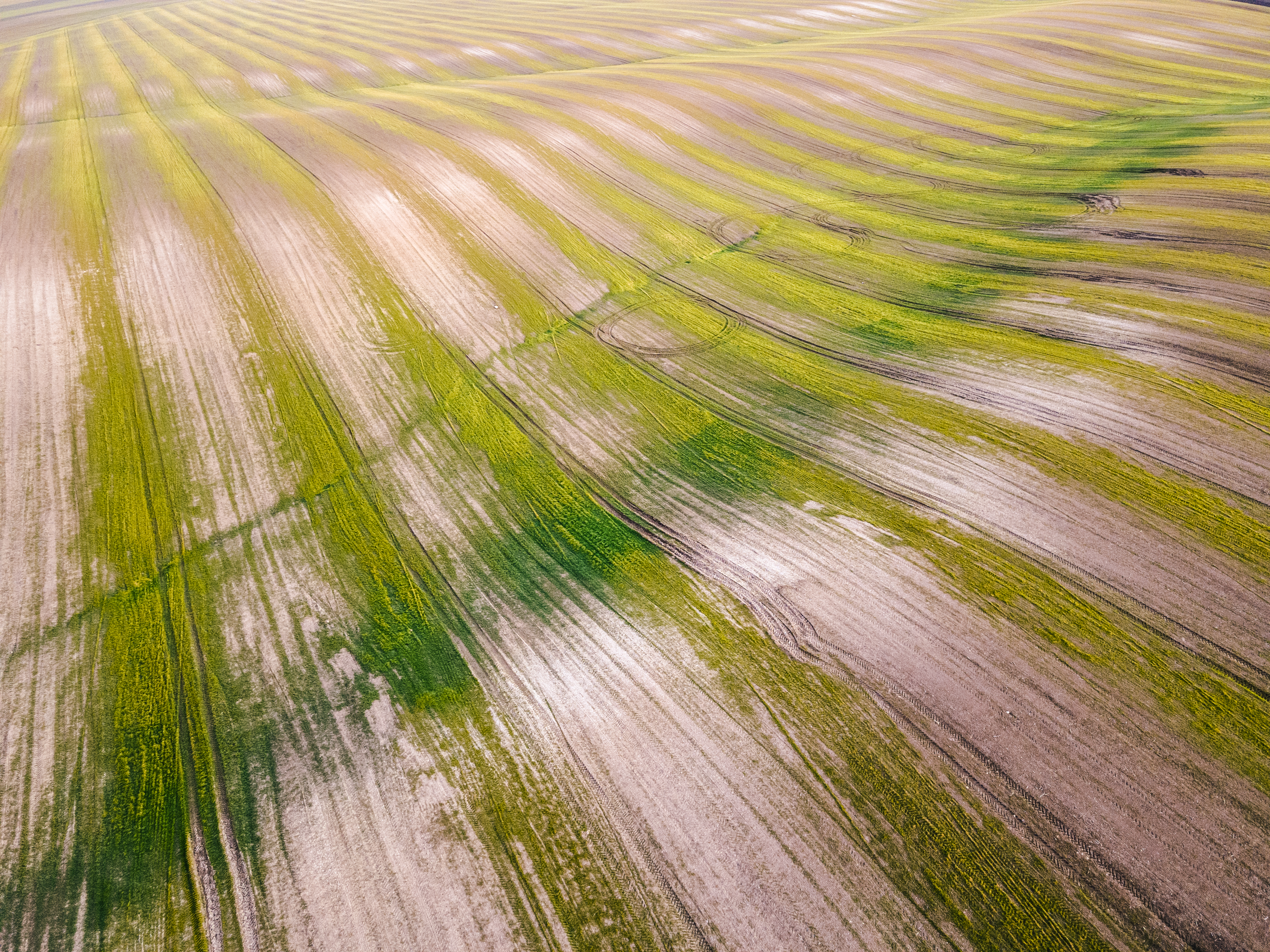 Vue aérienne de champs agricoles cultivés grâce à une nouvelle technologie agricole